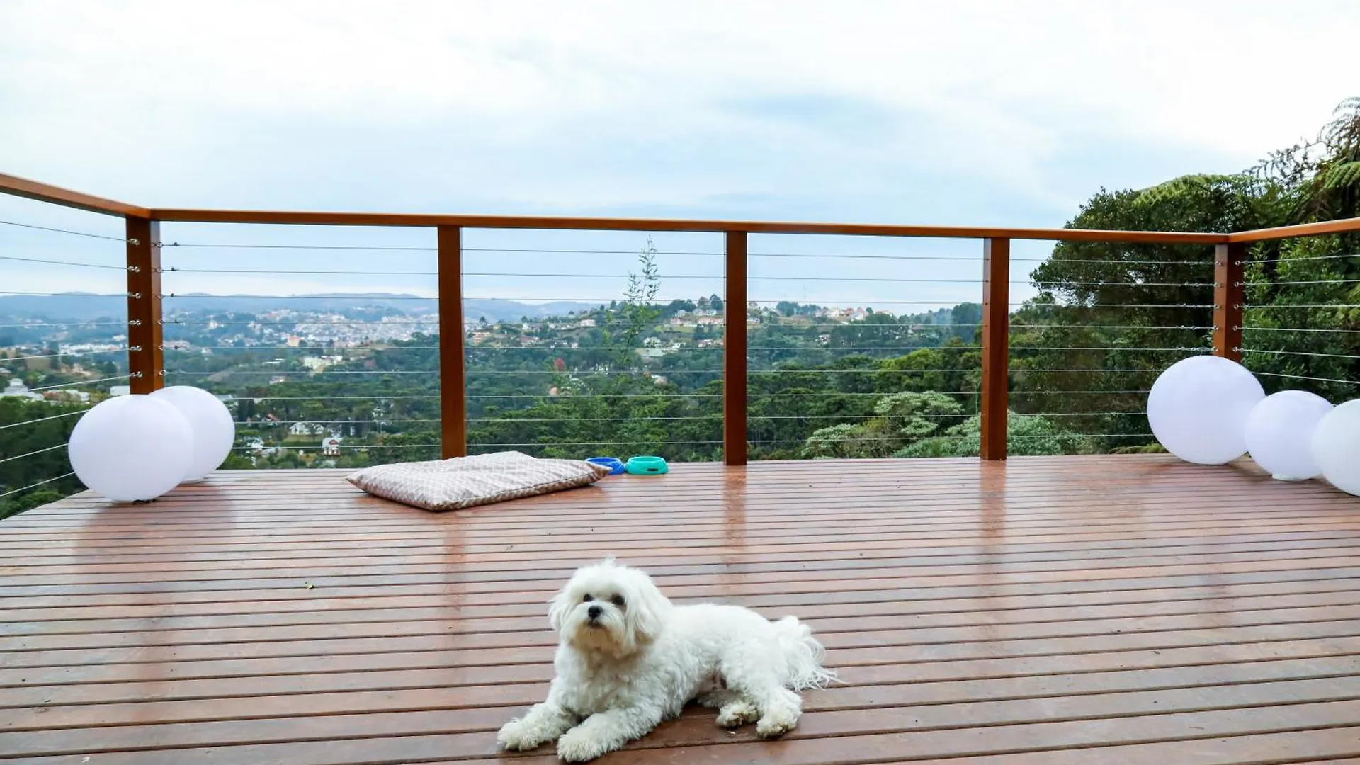 Aparthotel Hotel Boutique & Spa Carpe Diem Vista Do Vale 1Q-1B Campos do Jordao
